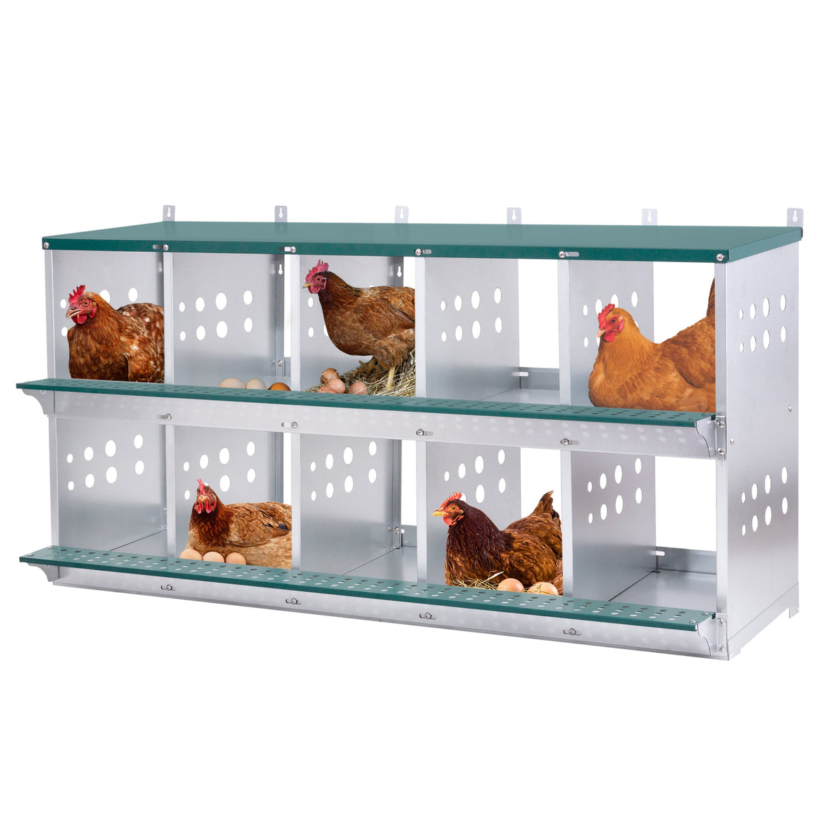10 - Bay Metal Chicken Nesting Box Wall Mount Easy Egg Collection Vented Galvanized Steel - Green - Fab Heavy Parts