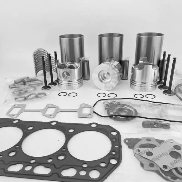 3TN84L 3TN84L-RNK 3TN84TL-RTBA Overhaul Rebuild Kit Yanmar Engine YB281X PC20-7 PC15-3 SK027 Excavator CA355 CA300 Combine