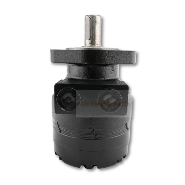 Hydraulic Motor TF0170AS020AAAA Replaces Parker Interchange