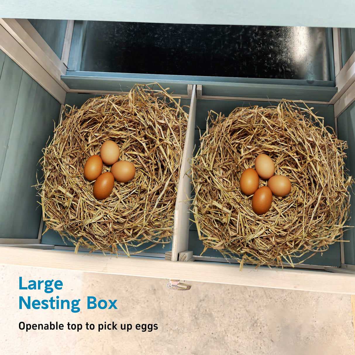 Wooden Chicken Coop with Nesting Box and Free - Range Door All - Weather Asphalt Roof Sliding Tray - Fab Heavy Parts