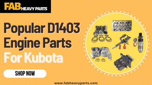 Popular D1403 Engine Parts For Kubota - Fab Heavy Parts