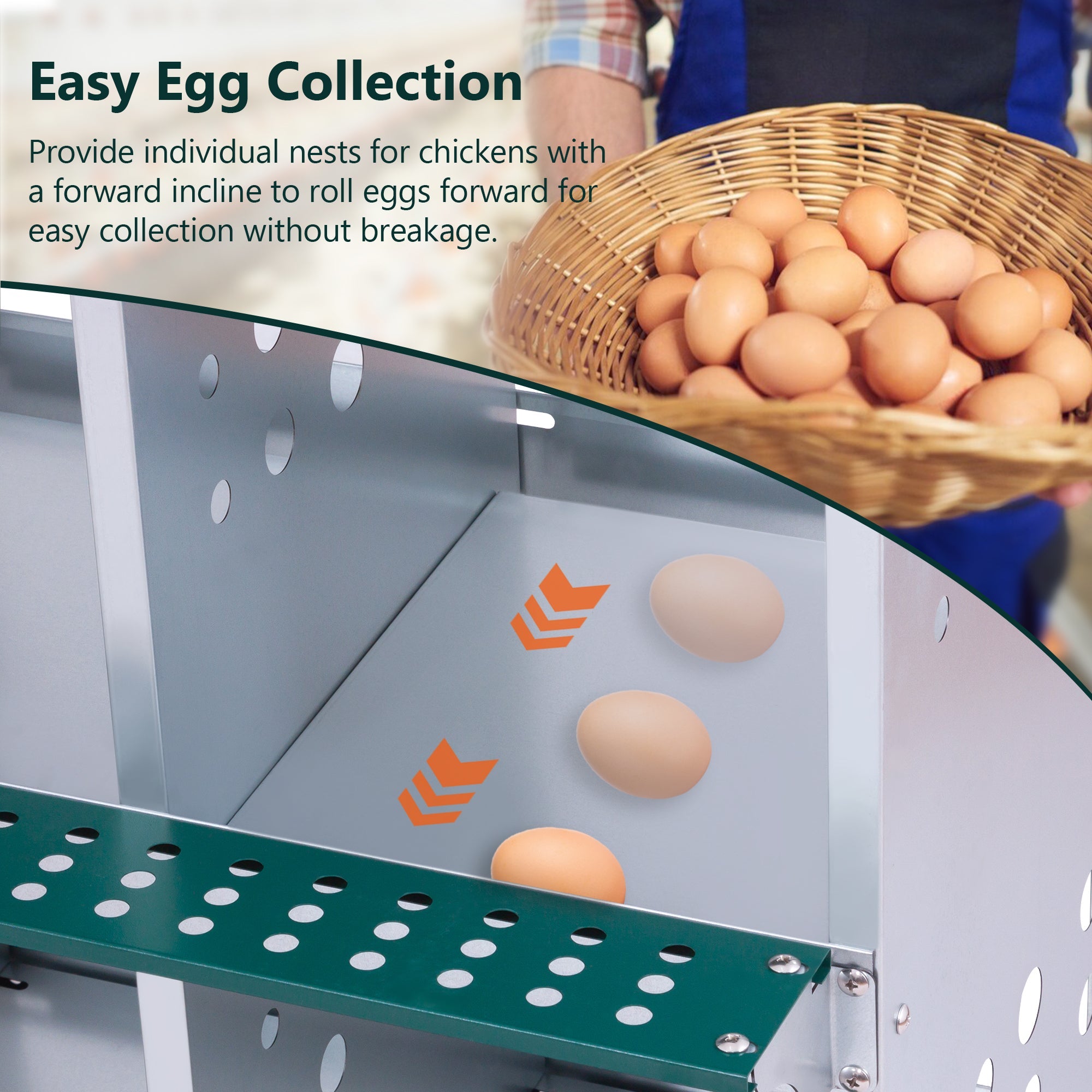 10 - Bay Metal Chicken Nesting Box Wall Mount Easy Egg Collection Vented Galvanized Steel - Green - Fab Heavy Parts