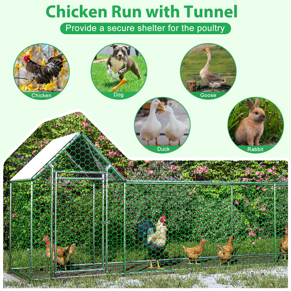16x3FT Metal Chicken Coop with Cover - Fab Heavy Parts