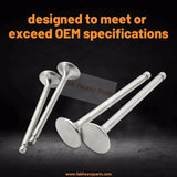 Overhaul Rebuild Kit Fits for Caterpillar CAT Engine 3054 3054B with Standard Bearings Final clearance