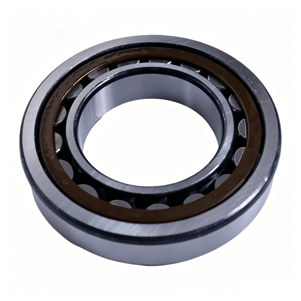 Cilindrische rollager JD10055 voor John Deere Tractor 2141 2541 2651 2940 2941 2950 2951 2955 3040 3050 3255 3340 3350 3351 3641 3650 3651