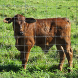 5x164 ft Advanced Weave Farm Enclosures Galvanized Farm Fence - Fab Heavy Parts