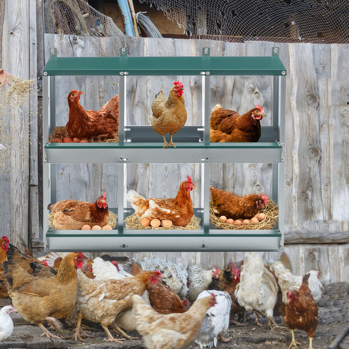 6 Room Metal Chicken Nesting Box for Chicken Galvanized Steel - Fab Heavy Parts
