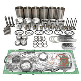 Overhaul Rebuild Kit Doosan Daewoo D2366 D2366T Engine Solar 280LC Excavator