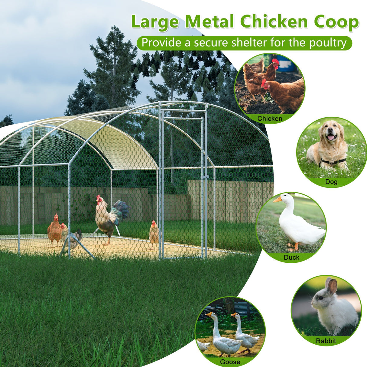 9.84' x 19.68' x 6.56' Large Dome Shaped Walk - in Chicken Coop Metal with Waterproof and Anti - UV Cover - Fab Heavy Parts