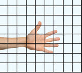 36 inch×50 ft Black Vinyl Coated Hardware Cloth 19 Gauge 1/4 inch PVC Welded Wire Fence Steel