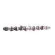Camshaft 0801.E8 9603104288 Fits for Citroen Engine XUD7 XUD9 DW8B Berlingo BX Xantia Xsara C15 Relay - Fab Heavy Parts