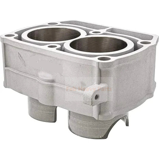 Engine Cylinder 2204393 2203911 for Polaris RZR Ranger Sportsman - Fab Heavy Parts