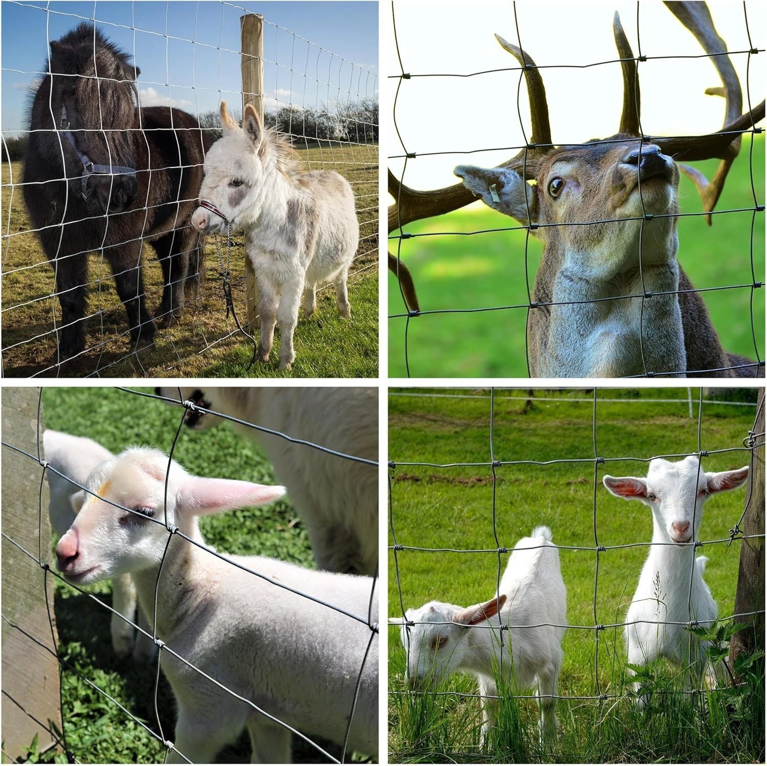 Farm Fence 4ft x 164ft 13Gauge Heavy Zinc Coating - Fab Heavy Parts