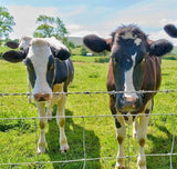 Farm Fence 4ft x 164ft 14 Gauge Heavy Zinc Coating Cattle Fence Galvanized Field Wire Fencing - Fab Heavy Parts