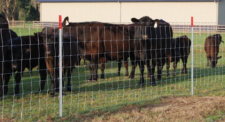 Farm Fence 4ft x 328ft 14Gauge Heavy Zinc Coating Cattle Fence Galvanized Field Wire Fencing Deer Fence Goat Fence Hog Wire Fencing for Yard Livestock & Animals Protection - Fab Heavy Parts