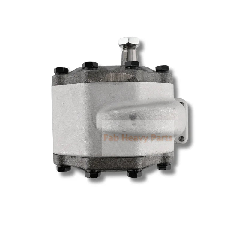 Hydraulic Pump 93835C91 93835C92 Fits for CASE 380B 995 4210 695 4230 485 4240 495 895 3220 595 3230 395 484 385 695 248 585 385 685 885 485 Tractor