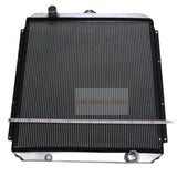 Hydraulic Radiator Core Assembly 4365743 for Hitachi EX100-5 EX110-5 EX120-5 EX130-5 EX160-5