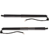 Left & Right Tailgate Lifter 689100E070 689200E050 Fits for Toyota Highlander 2021 2022 2023 - Fab Heavy Parts