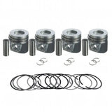 Piston Kit 04102523 04102574 for Deutz Engine TCD4L2011W TD4L2011I - Fab Heavy Parts