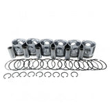 Piston Kit 3935591 for Cummins Engine 4B3.9 6B5.9