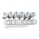Piston Kit 3935591 for Cummins Engine 4B3.9 6B5.9