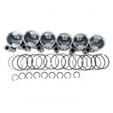Piston Kit 3935591 for Cummins Engine 4B3.9 6B5.9