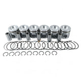 Piston Kit 3935591 for Cummins Engine 4B3.9 6B5.9