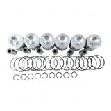 Piston Kit 3935591 for Cummins Engine 4B3.9 6B5.9 - Fab Heavy Parts