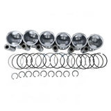 Piston Kit 3935591 for Cummins Engine 4B3.9 6B5.9 - Fab Heavy Parts
