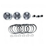 Piston Kit 6212-111-094-20 for Iseki Engine E3112 Massey Ferguson Tractor GC1725M GC1723E GC1720 GC1715 GC1710 GC1705