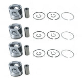Piston Kit 8094740 for New Holland Engine F4GE9484A F4CE9484C J600 Loader C190 B95 Tractor 5610S TS6.120