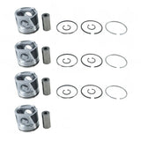 Piston Kit 8094740 for New Holland Engine F4GE9484A F4CE9484C J600 Loader C190 B95 Tractor 5610S TS6.120 - Fab Heavy Parts