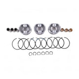 Piston & Piston Ring Set SBA115017140 SBA198517125 for CASE Tractor DX18E DX24E DX23 DX26 - Fab Heavy Parts