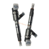 Reemplaza el inyector de combustible Bosch 0445110853 0445110854 para JMC