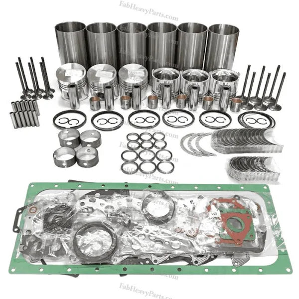 Overhaul Rebuild Kit for Deutz F6L912 Engine Tractor D8006 D9006 D10006 DX110