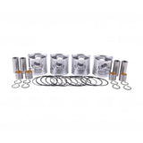 STD Piston Kit with Ring 239-8506 for Caterpillar CAT Engine 3044C C3.4