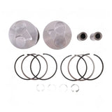 STD Piston Kit with Ring for Kubota Engine Z482