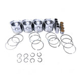 STD Piston Kit with Ring for Yanmar Engine 4TNE92 4TNE92-NMH