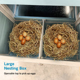 Wooden Chicken Coop with Nesting Box and Free - Range Door All - Weather Asphalt Roof Sliding Tray - Fab Heavy Parts