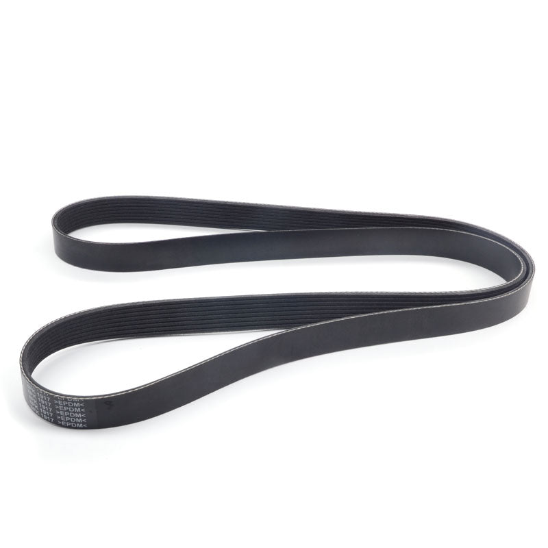 3289648 3944838 8PK1917 Fan Belt Engine 6CT 6CT8.3 - Fab Heavy Parts