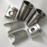 Engine 6D22 Overhaul Rebuild Kit for Kobelco Sumitomo Excavator-Engine overhaul kit-Fab Heavy Parts