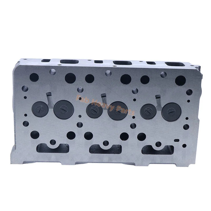 Cylinder Head With Valves & Springs for Kubota Engine D1302